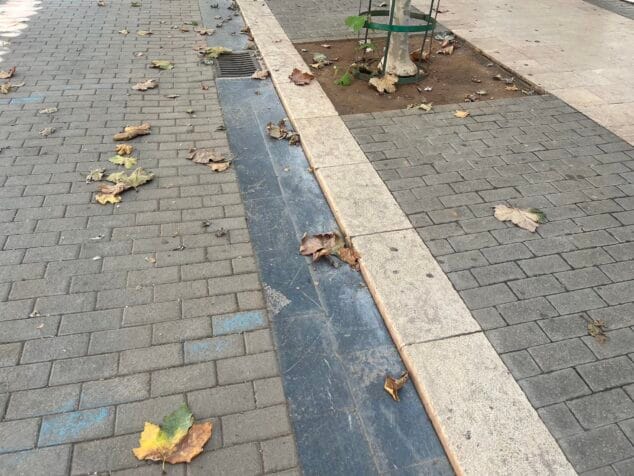 Imagen: Hojas en el suelo de Dénia