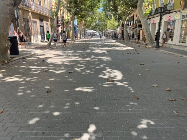 Imagen: Hojas sobre la calzada de Marqués de Campo