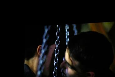 Jornada del RRFF en Dénia 17