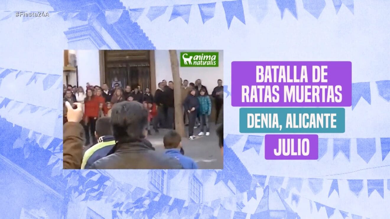 Pantalla con el error