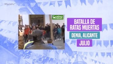 Pantalla con el error