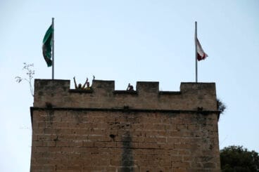 Pregón de Moros y Cristianos 2024 47