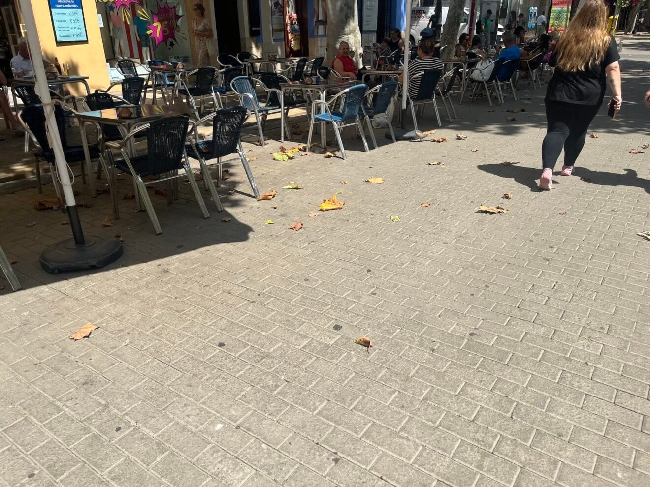 Terraza del centro de Dénia repleta de hojas