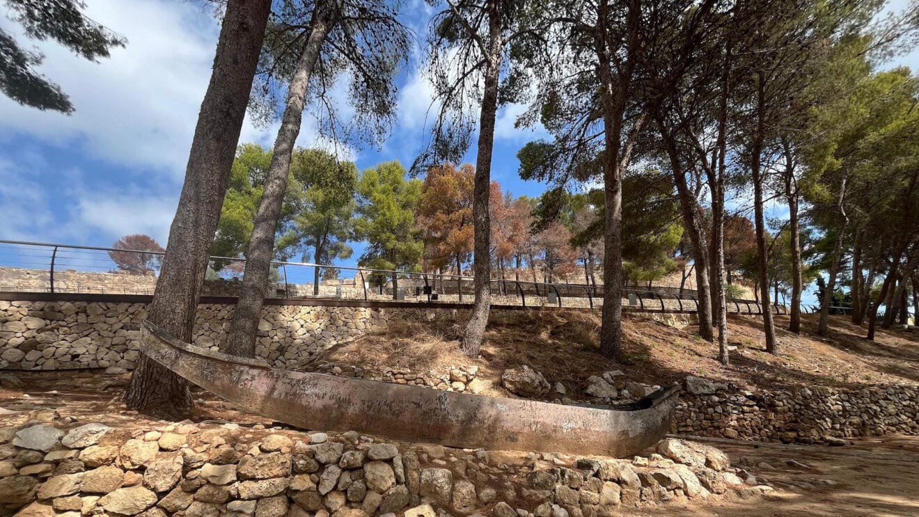 Arboleda en el Castillo de Dénia dest