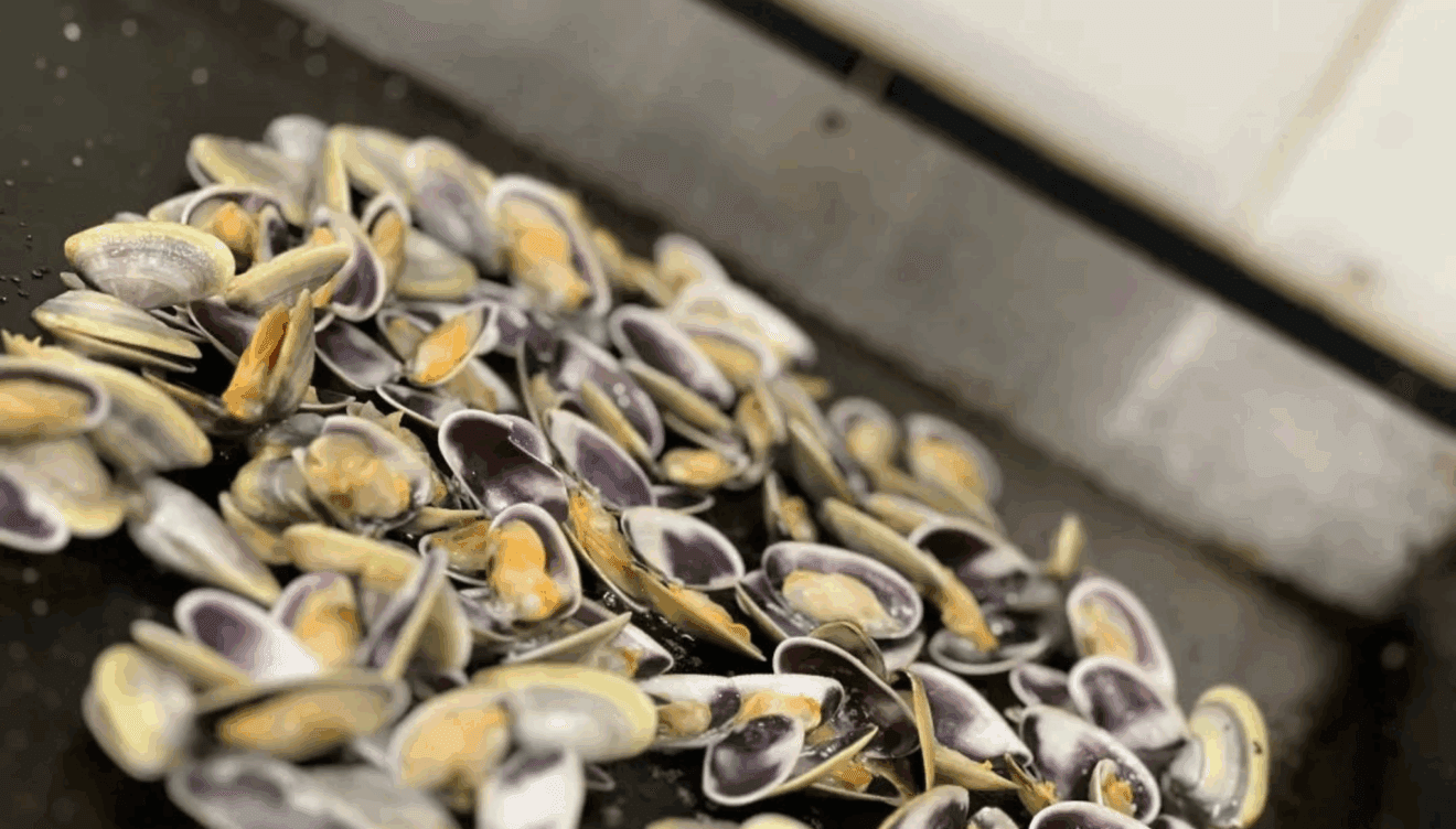 Descube sus platos de marisco fresco