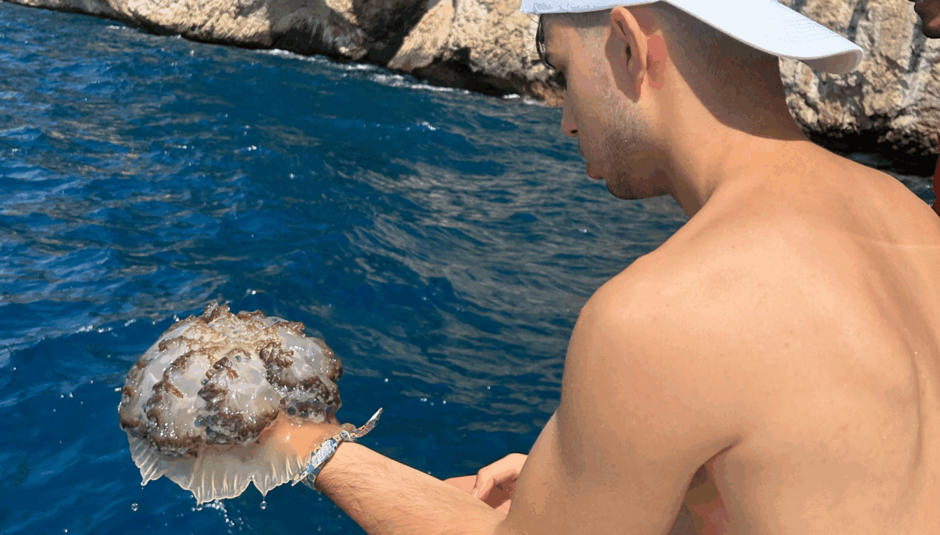 Disfruta y conoce la costa de Altea