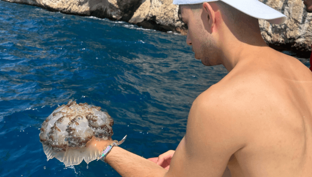 disfruta y conocer la costa de altea
