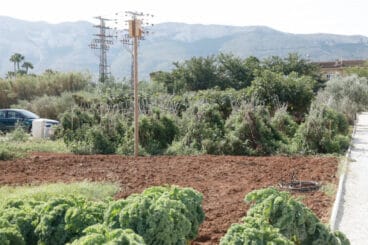 Huerta de Dénia