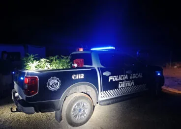 La Policía Local de Dénia retira las plantas descubiertas