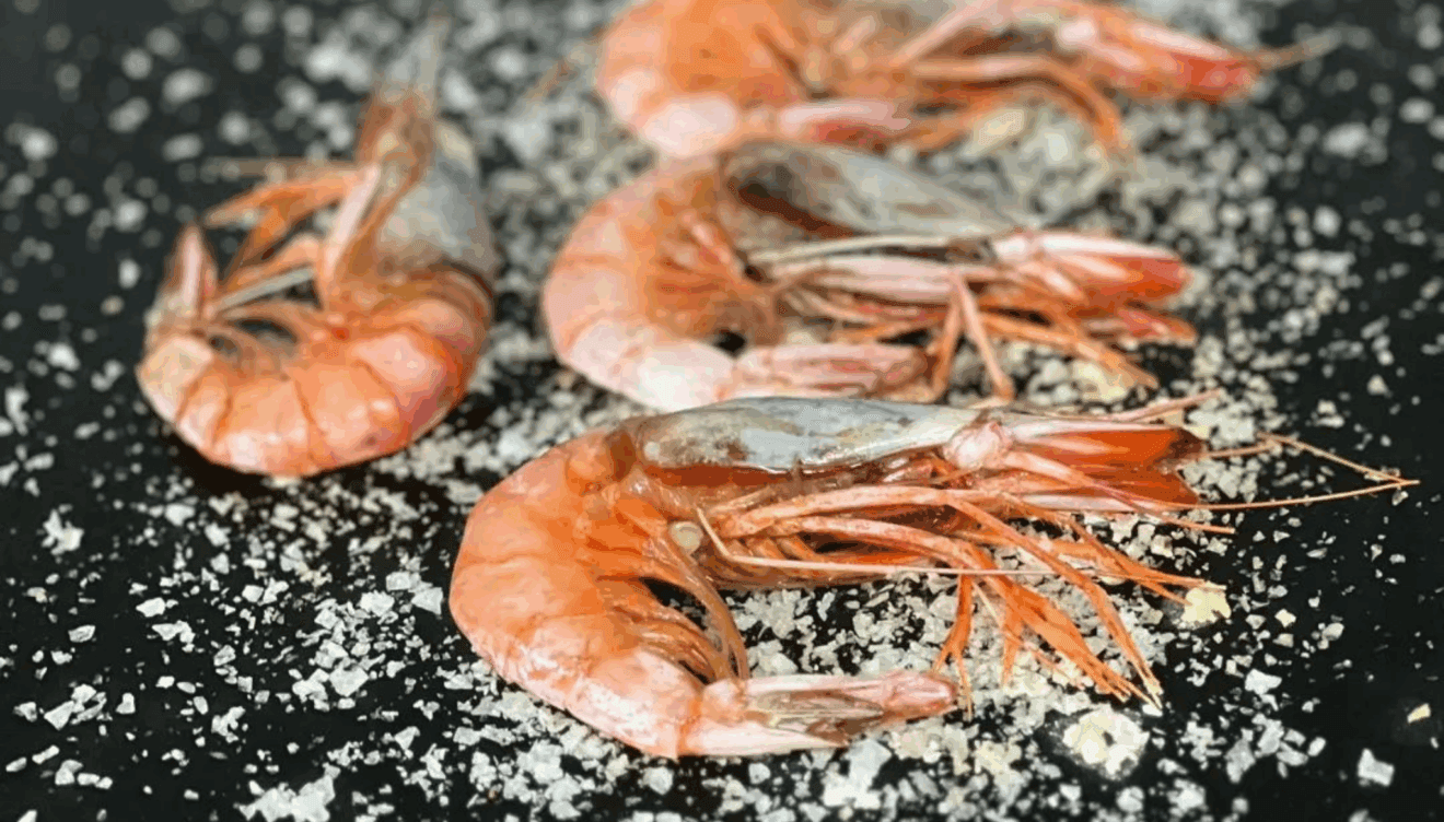 Productos frescos a la brasa en Origen