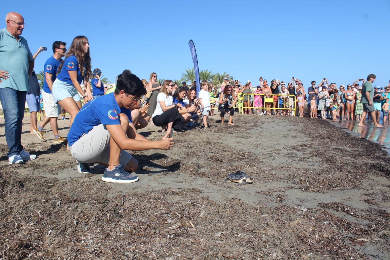 Suelta de tortugas en la playa de Dénia
