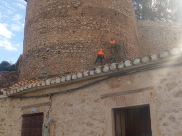 Tareas de poda en el Castillo