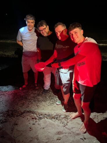 Tortugas en la playa de la Marineta  10