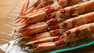 Una gran variedad de marisco fresco de calidad