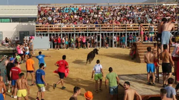 vaquilla en els bous a la mar de denia dest 1