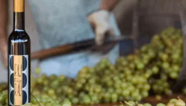 el meticuloso proceso artesanal que da vida a la mistela en bodegas xalo