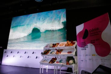 Éxito de participación en el festival 14