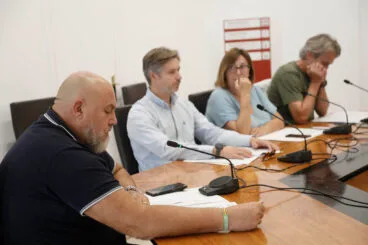 Félix Redondo en el pleno de hoy