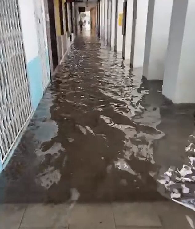 pasaje de la explanada cervantes