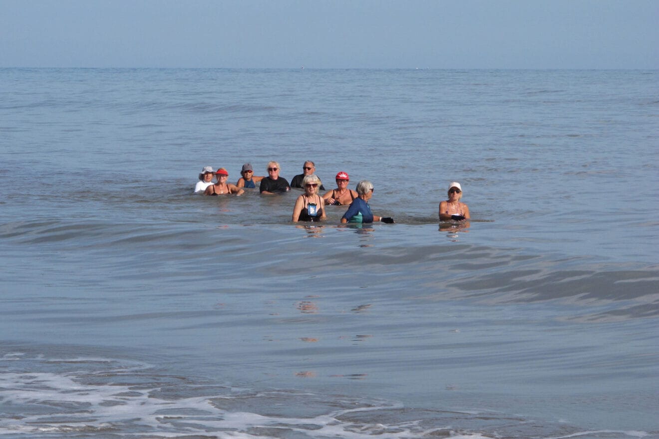 Tortugas bobas vuelven a su hábitat 01