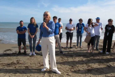 Tortugas bobas vuelven a su hábitat 10