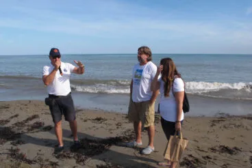 Tortugas bobas vuelven a su hábitat 14