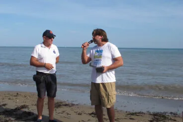 Tortugas bobas vuelven a su hábitat 16