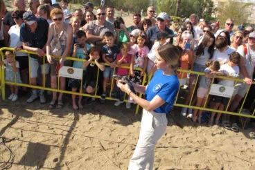 Tortugas bobas vuelven a su hábitat 23