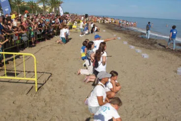 Tortugas bobas vuelven a su hábitat 35