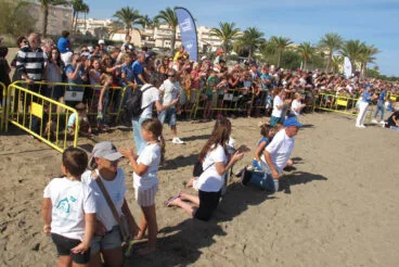 Tortugas bobas vuelven a su hábitat 36