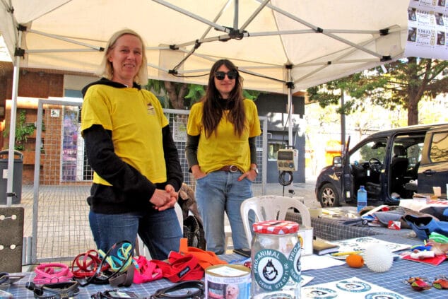 feria de asociaciones 2024 06