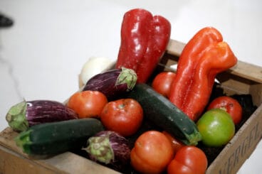 Inauguración de la exposición Miradas a la tierra 24