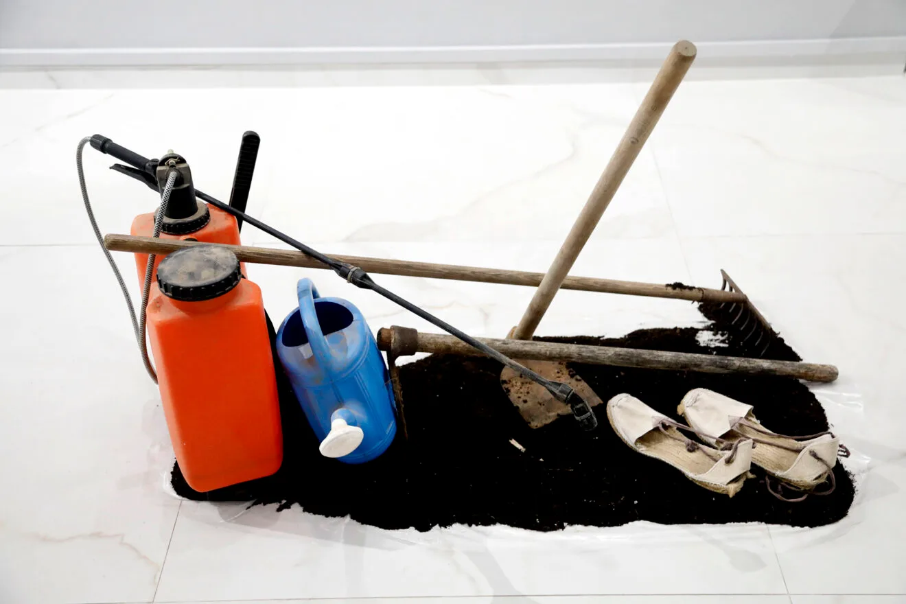 Inauguración de la exposición Miradas a la tierra 28