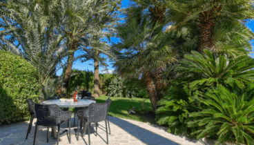 Jardín espacioso con césped y árboles, ideal para paseos