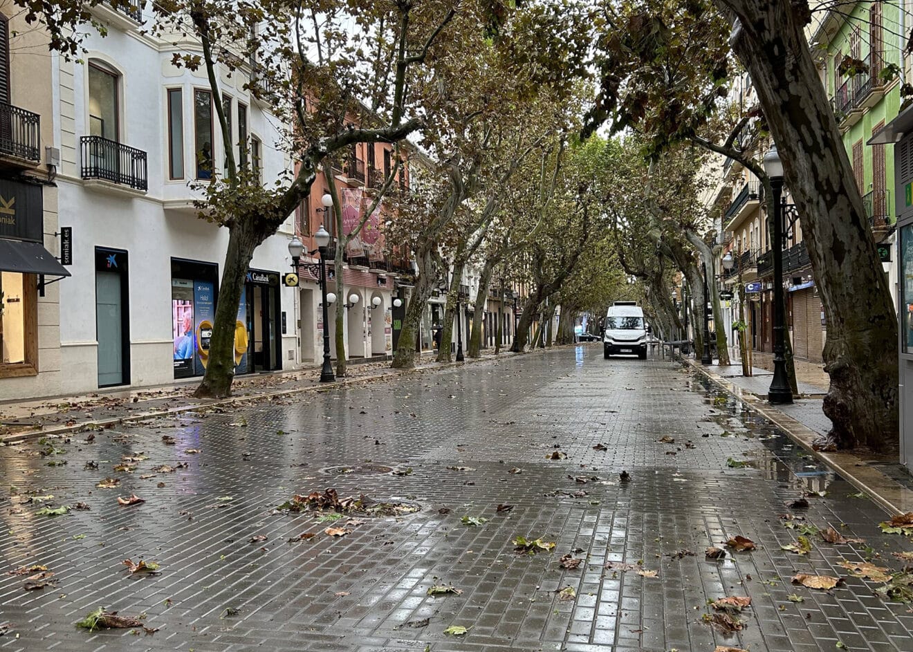 La calle Marqués de Campo vacía