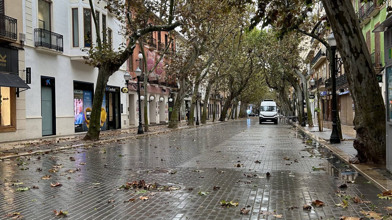 La calle Marqués de Campo vacía dest