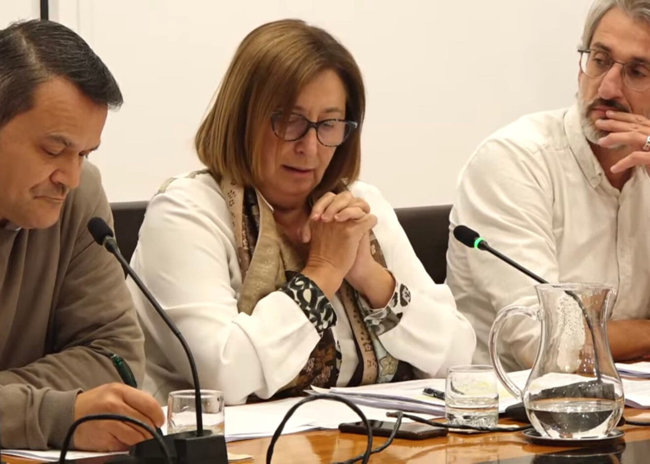 Pepa Font en el pleno