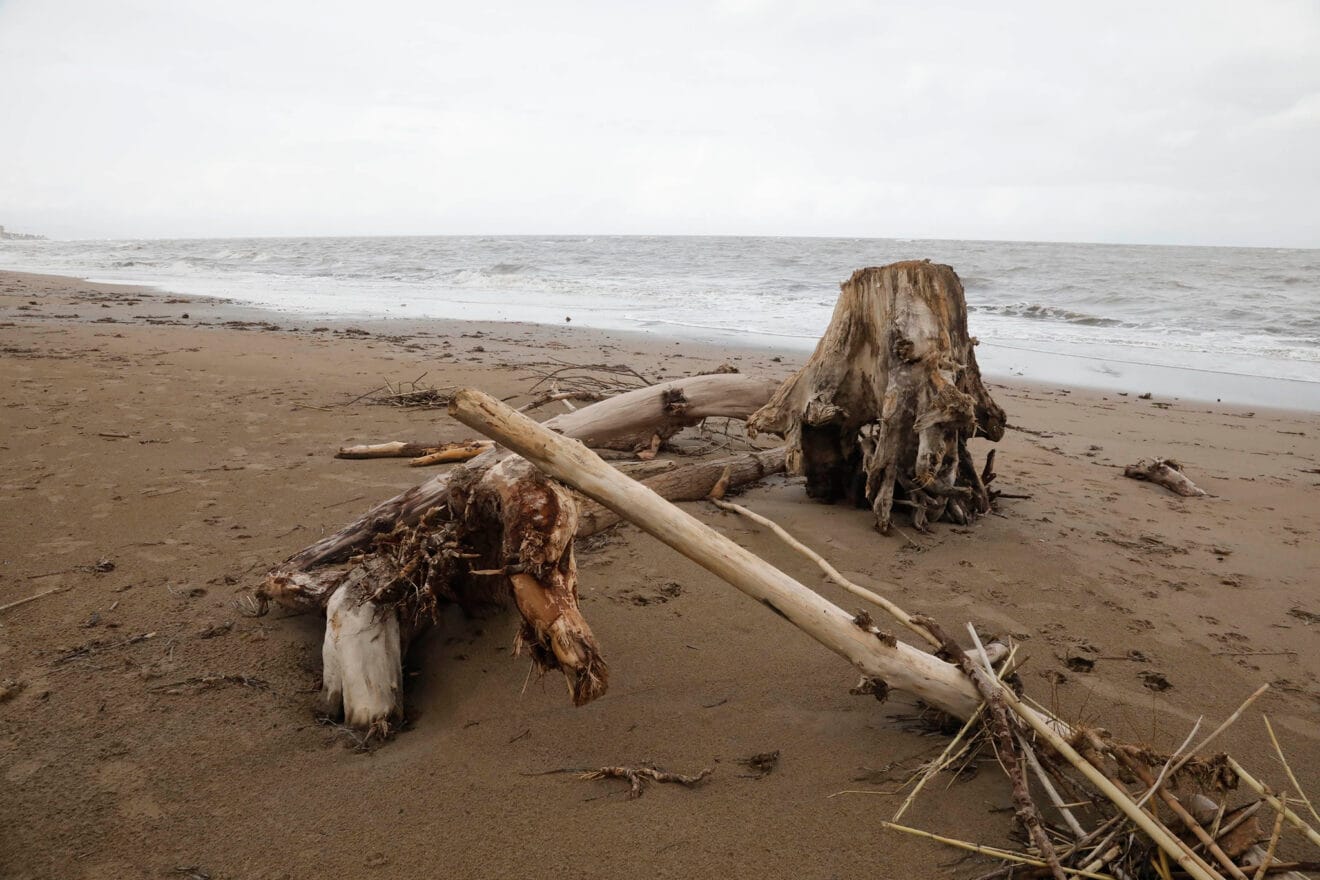 Playas de Dénia tras el temporal 05