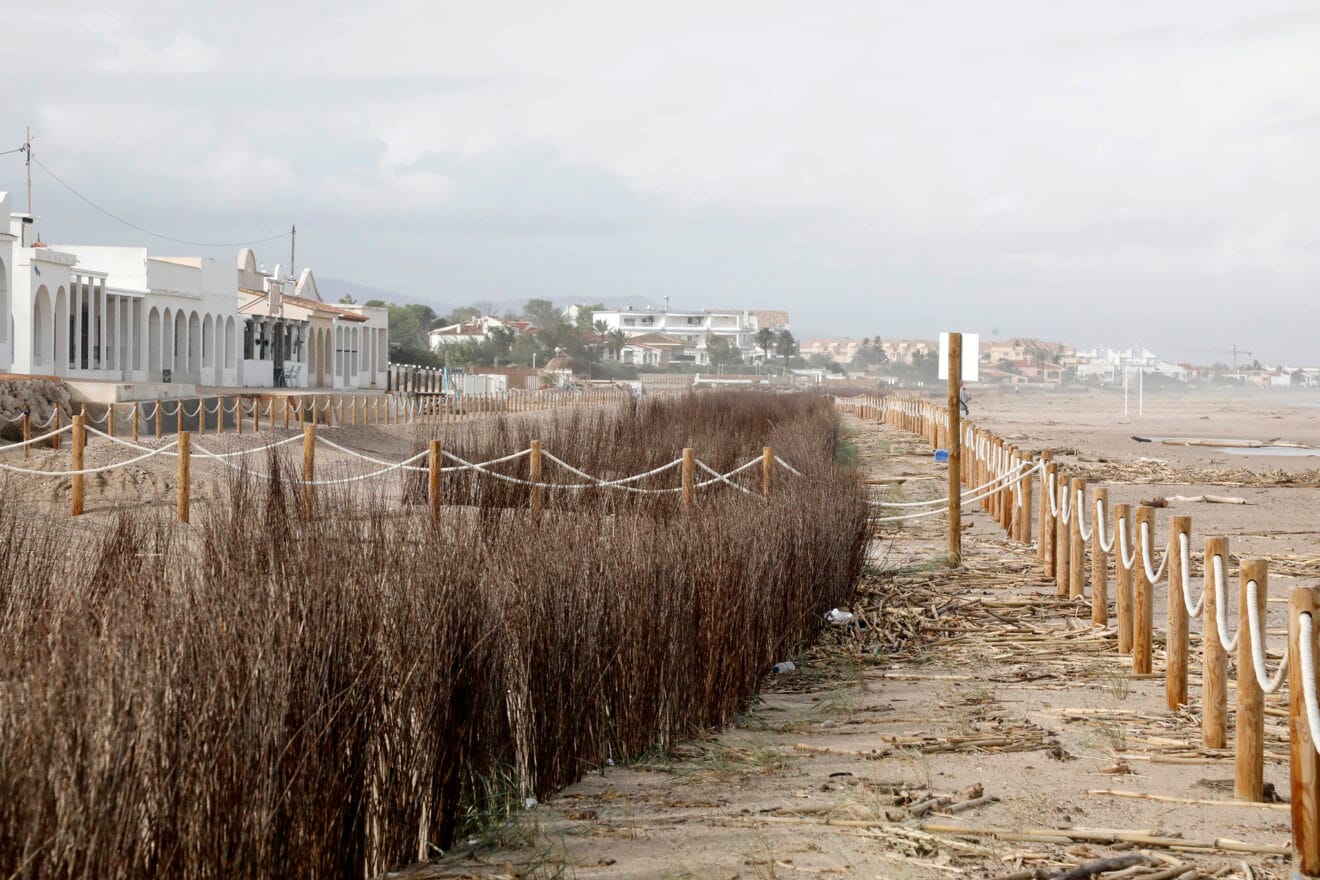 Playas de Dénia tras el temporal 37