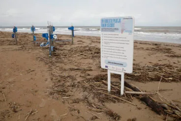 Playas de Dénia tras el temporal 40