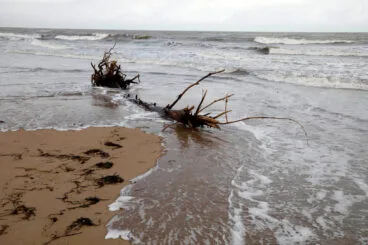 Playas de Dénia tras el temporal 41