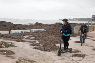 Playas de Dénia tras el temporal 47
