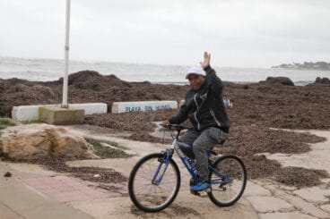 Playas de Dénia tras el temporal 48