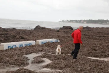 Playas de Dénia tras el temporal 50