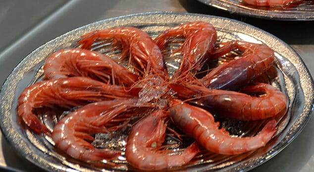 Las limitaciones a la pesca de la gamba roja llegan a Dénia esta Navidad 1 Imagen: Gamba roja de Dénia