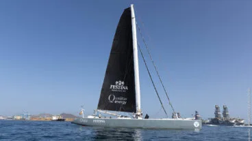 maxicat victoria