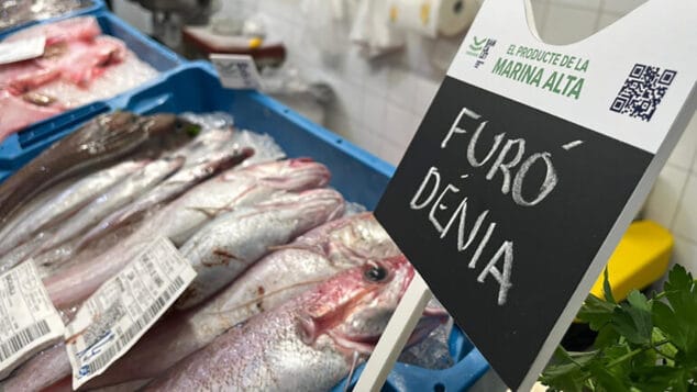 pescado en el mercado municipal de denia