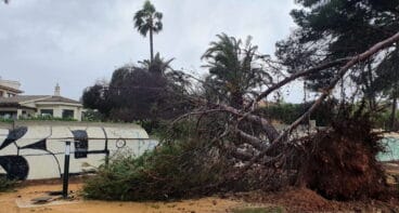 Asi se vivió el temporal Gloria de 2020 en Dénia 10
