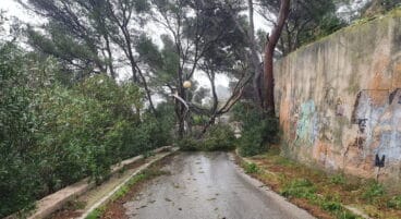 Asi se vivió el temporal Gloria de 2020 en Dénia 16