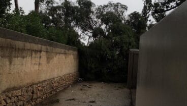 Asi se vivió el temporal Gloria de 2020 en Dénia 2